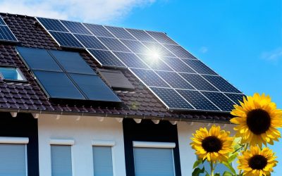Reinigung von Photovoltaikanlagen und Solaranlagen